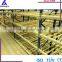 FIFO storage and shelving system carton flow rack