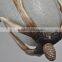 America Style polyresin buckhorn pendant lamp glass pendant light fixture for home decor simple coffee bar and restaurant