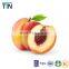 TTN 100% natural instant freeze dried peach powder