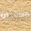Spary gun 3D high textured paint for room