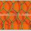 pvc/hexagonal double twisted wire mesh