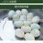 FT-200 Hot Sale Boiled Egg Shelling Breaking Peeling Machine