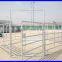 Galavnized horse fencing horse paddock fence