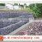 galvanized gabion box for sale/ hot dipped galvanized 3*1*1m 2*1*1m gabion box price export to oman