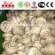 China manufacture factory price plastic PPH pipe and fittings