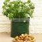 Plastic Garden potato grow Bag