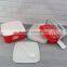 Double layers portalbe square plastic tiffin lunch box