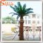 Songtao suplier artificial date palm tree customized fibeerglass date palm tree fiberglass artificial palm trees
