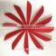 1.75" 2" 2.5" Parabolic TPU Plastic Vanes For Bow And Arrows