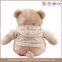 China factory custom 25cm plush teddy bear