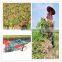 Small India 1 Row Tractor Groundnut Peanut Combine Harvester Machine