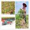 Automatic New Type Peanut Groundnut Combine Harvester Agriculture Machine