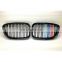 1 Pair Three color Double Slat Line Front Grille Kidney grill for BMW 5 Series GT F07 2010-2017