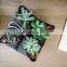 fast delivery planting felt growing bag