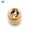 BT5002 brass check valve