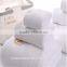 5 star high quality hotel bath towel set