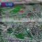 3D scale architectural model layout Scale 1:75 of building