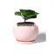 Ball Big shaped large capacity garden pink design ceramic Succulent planter plant flower pot with Drainage Hole and Saucer
