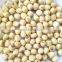 Organic Vietnam White Lotus Seeds from Vietnam