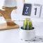 Round Desktop Decoration Ceramic Succulent Planter Plant Flower Pots Indoor Wood
