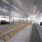 High quality factory steel structure chicken houses for 1000 chicken  prefab apartments