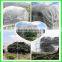 Ultra Fine Insect Netting Garden Crop Veg Protection