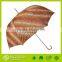 New Design Leopard Ladies umbrella, Automatic Stick Umbrella