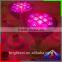 color change dimmable LEDpar38 9W spotlight