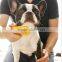 Hot Sale Promotion Gift Grooming Silicone Pet Hair Removal Brush