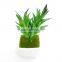 China Factory Wholesale Artificial green plants artificial cactus plants for sale with cheap price