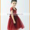 European and American Children Dress Girls Dress Costume Girls high-grade princess dress manufacturers selling a skirt on behalf