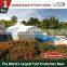 LIRI TENT Event Marquee for Sale