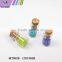 Cute mini small cork stopper glass bottles for wish bottle DIY craft