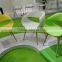 2016 New Design Fashion Plastic Chairs With Wooden Legs