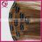 Surprise!!! clip in human hair extensions unprocessed wholesale 100% indian human clip in hair