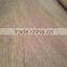 0.3mm Face Natural Keruing Veneer / Gurjan face veneer A grade