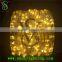 China Suppliers outdoor Garden decoration led clip light