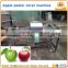 Commercial apple peeler corer slicer / apple peeler machine / apple peeling machine