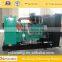 CE approved 250kw biogas generator for farm use
