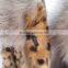 High quality leopard design rabbit fur coat with raccoon fur collar