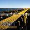 Endless EE Conveyor Belt
