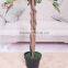 2016 Artificial Green ficus tree plant /beautiful green ficus/factory Artificial ficus wholesale