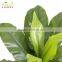 hot sale artificial decorative plastic birdsnest fern plant bonsai