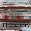 New design BT Factory hot-sale H type poultry chicken cages for sale(Factory price)