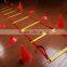 Soozier Speed / Agility Sports Training Kit - Ladder, Hurdles, Cones, Markers, Sled