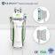 Skin Lifting Fast Slim Machine!!!! Cryolipolysis Fat Freeze Slimming Machine With 5 Handles Reduce Cellulite