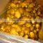 2016 New Crop HACCP Chinese Organic Fresh Ginger