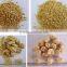 Textured Soy Protein Non-GMO for food processing
