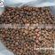 Hydroponic rocks grow rocks Leca expanded clay for aquaponics