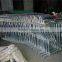 Farm Hot Dipped Galvanized Steel Cow Head Lock For 7-12 Months Old Cows